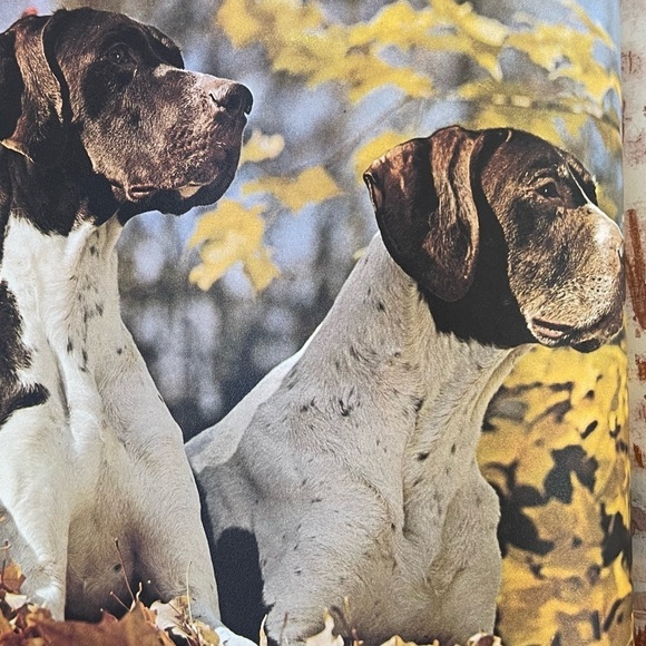 Three Autumn Ideals Magazines - Picture 5 of 8